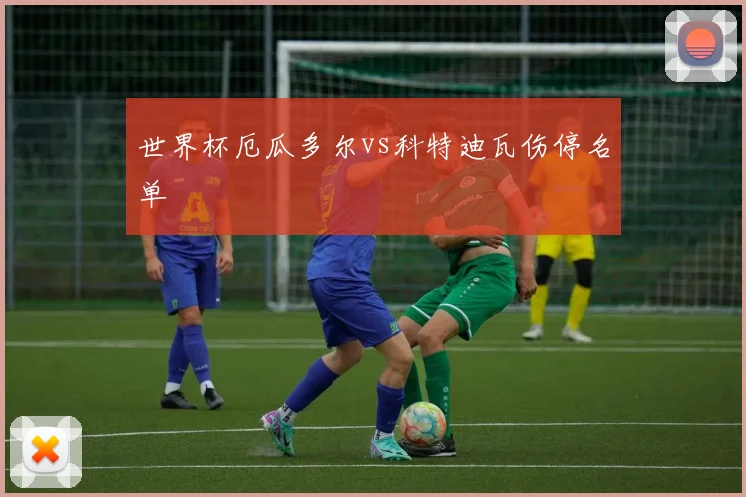 世界杯厄瓜多尔vs科特迪瓦伤停名单